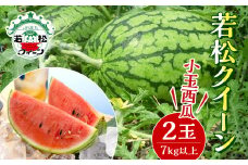 【2023年7月上旬発送開始】 北九州市産 若松クイーン (小玉西瓜) 2玉 (7kg以上) すいか スイカ フルーツ