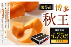 福岡県産 博多秋王【優等品】 約1.75kg以上（6玉入り）【2025年11月上旬～11月下旬発送予定】柿 かき 秋王 果物 フルーツ くだもの 先行予約