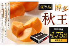 福岡県産 博多秋王【優等品】 約1.75kg以上（6玉入り）【2025年11月上旬～11月下旬発送予定】柿 かき 秋王 果物 フルーツ くだもの 先行予約