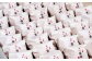 北九州を代表する八幡の名菓 「 八幡饅頭 」 10個入り 饅頭 和菓子 白あん あんこ まんじゅう 福岡県 北九州市