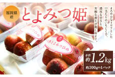 福岡県産 とよみつ姫 約1.2kg （約300g×4パック入り）【2025年9月下旬-10月下旬発送予定】 いちじく フルーツ 果物 くだもの