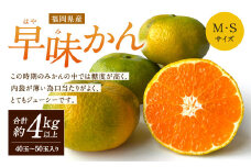 福岡県産 早味かん 約4kg以上 （40玉～50玉入り）  M・Sサイズ 【2025年9月下旬-10月下旬発送予定】 みかん 早生みかん ミカン 果物 くだもの フルーツ