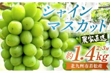 【数量限定】農家直送 シャインマスカット 約1.4kg（2～3房）有機肥料栽培 北九州市若松産 【2024年9月上旬から11月上旬まで発送予定】 果物 フルーツ 旬 新鮮 マスカット 大粒 種なし 冷蔵 福岡県産 九州産
