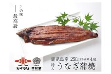 【120年老舗醤油蔵仕込みのたれと関門の塩】高級 鰻 蒲焼（250g前後）×4尾 合計1000g前後 タレボトル1本 山椒小袋 うなぎ 蒲焼き 冷凍 国産
