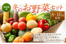 【2023年12月上旬より順次発送】福岡県 北九州市産 冬のお野菜セット 8～10品程度