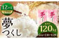 【12ヶ月定期便】 夢つくし 10kg×12ヶ月