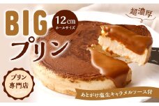 極濃厚 ビッグ プリン 【 12cmホールサイズ・あとがけ塩生キャラメルソース付 】