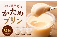専門店の かため プリン 6個セット