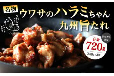名物ウワサのハラミちゃん 九州旨たれ 720g