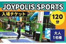 JOYPOLIS SPORTS 入場チケット 【大人・1名様（120分）】