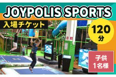JOYPOLIS SPORTS 入場チケット 【子供・1名様（120分）】
