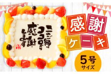 【指定日必須】感謝ケーキ 5号（15cm×15cm）