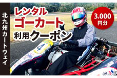 レンタルゴーカート 利用クーポン 3,000円分（1,000円×3枚）