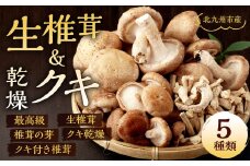 北九州市産 生椎茸・乾燥クキのセット