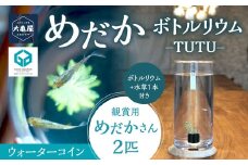 めだかボトルリウム-TUTU- 【水草(ウォーターコイン)】