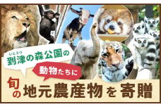 到津の森公園の動物たちに地元農産物を寄贈【思いやり型返礼品】