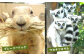 到津の森公園の動物たちに地元農産物を寄贈【思いやり型返礼品】