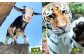 到津の森公園の動物たちに地元農産物を寄贈【思いやり型返礼品】