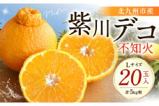 紫川デコ（不知火） Lサイズ 20玉入 計5kg程 フルーツキャップ付き【2026年3月上旬～2026年3月下旬発送予定】