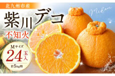 紫川デコ（不知火） Mサイズ 24玉入 計5kg程【2026年3月上旬～2026年3月下旬発送予定】