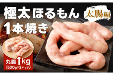 1本焼き 極太 ほるもん 太腸版 新鮮 ホルモン 塩ホルモン モツ もつ 牛モツ 牛もつ ぷりぷり 旨味 黒毛和牛 丸腸 真空パック 国産 九州産 冷凍