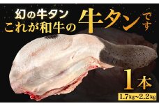 幻の牛タン これが和牛の牛タンです【2025年10月上旬～下旬発送予定】黒毛和牛 和牛 牛タン 肉 お肉 高級 サシ 焼肉 BBQ 希少 新鮮 国産 九州産 冷蔵