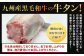 幻の牛タン これが和牛の牛タンです【2026年1月上旬～2月下旬発送予定】