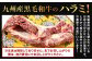 幻のハラミ これが和牛のハラミ（横隔膜）です【2026年1月上旬～2月下旬発送予定】