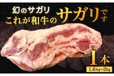 幻のサガリ これが和牛のサガリです 【2025年6月上旬～下旬発送予定】 黒毛和牛 和牛 サガリ 肉 お肉 高級 サシ 焼肉 BBQ 希少 新鮮 国産 九州産 冷蔵