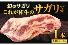 幻のサガリ これが和牛のサガリです【2025年10月上旬～下旬発送予定】黒毛和牛 和牛 サガリ 肉 お肉 高級 サシ 焼肉 BBQ 希少 新鮮 国産 九州産 冷蔵