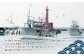 【訳あり】福さ屋 無着色辛子明太子 1kg (500gx2)