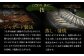 【4ヶ月定期便】鰻天屋 九州産うなぎ 蒲焼 約140g×2尾 セット