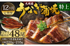 【12ヶ月定期便】九州産 うなぎ蒲焼 特上 4尾 (1尾あたり220～235g)  合計48尾 たれ 山椒 鰻 ウナギ 蒲焼き 国産 冷凍 鹿児島、宮崎、熊本等産うなぎ原料使用