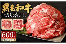 九州産 黒毛和牛 切り落とし 600g (300g×2パック)【順次発送】 お肉 牛肉 国産牛 和牛 冷凍 小分け