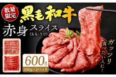 九州産 黒毛和牛 赤身スライス (もも・うで) 600g (300g×2パック) 【順次発送】お肉 牛肉 国産牛 和牛 冷凍 小分け