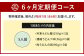 【定期便6カ月】 資さん肉うどん（5人前）×6回