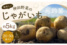 神田野菜の美味しいじゃがいも （馬鈴薯） 5kg （Lサイズ 20～30個）【2024年7月上旬から8月下旬発送予定】 じゃがいも ジャガイモ 芋 野菜 やさい 国産