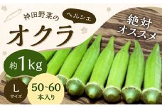 神田野菜の絶対オススメ オクラ （ヘルシエ） 1kg （Lサイズ 50～60本）【2024年7月上旬から12月下旬発送予定】 野菜 やさい 国産