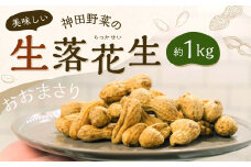 神田野菜の美味しい生落花生（おおまさり） 1kg 【2024年10月上旬から2025年1月上旬発送予定】 生落花生 落花生 豆 まめ 国産