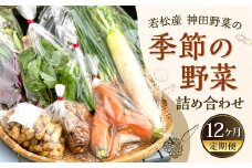 【12回定期便】 若松産 神田野菜 季節の野菜 詰め合わせ 【2024年8月上旬から2026年6月下旬発送予定】 野菜 やさい 国産