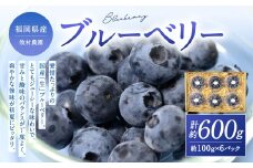 国産ブルーベリー 福岡県産 牧村農園 100g×6パック 【2026年6月上旬-7月上旬発送予定】フルーツ ベリー 小分け 果物 手摘み ジューシー 生 季節 旬 新鮮 福岡県 北九州市