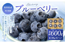 国産ブルーベリー 福岡県産 牧村農園 100g×6パック 【2026年6月上旬-7月上旬発送予定】フルーツ ベリー 小分け 果物 手摘み ジューシー 生 季節 旬 新鮮 福岡県 北九州市