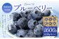 国産ブルーベリー 福岡県産 牧村農園
