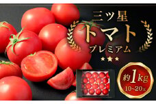 三ッ星トマト プレミアム 約1kg （10～20玉）【2025年3月上旬から5月下旬発送予定】 野菜 生野菜 トマト とまと 糖度11度以上 国産