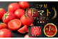 三ッ星トマト プレミアム 約1kg （10～20玉）
