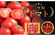 三ッ星トマト 約1kg （10～20玉）【2025年3月上旬から5月下旬発送予定】 野菜 生野菜 トマト とまと 糖度9度以上 国産
