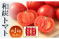 和炭トマト 約1kg （10～15玉）