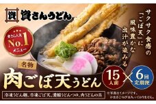 【定期便6カ月】 資さん肉ごぼ天うどん（15人前）×6回 合計90人前 肉うどん ごぼう天うどん