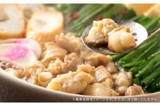 【定期便5か月】 もつ鍋 12人前×5回 ホルモン うどん モツ鍋