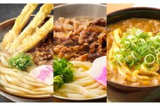 資さん 食べ比べセット（肉ごぼ天うどん・肉うどん・カレーうどん）各3人前 3種 合計9人前 黄金のつゆ かまぼこ 牛肉 昆布 かつお